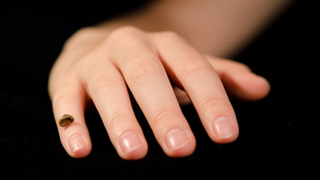 Denisovan genome sequenced b.jpg